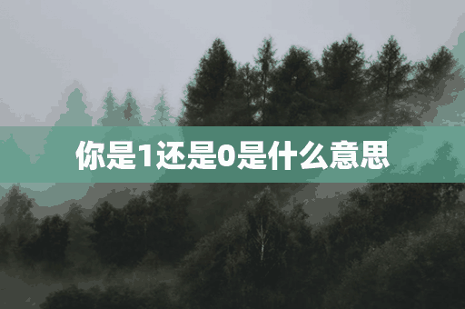 你是1还是0是什么意思(你是1还是0是什么意思?)